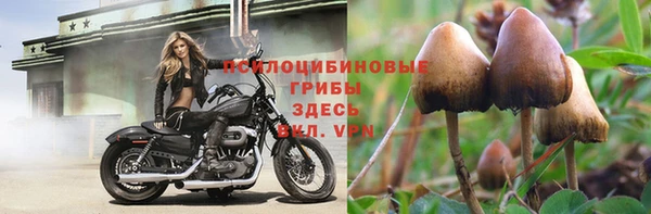не бодяженный Балахна