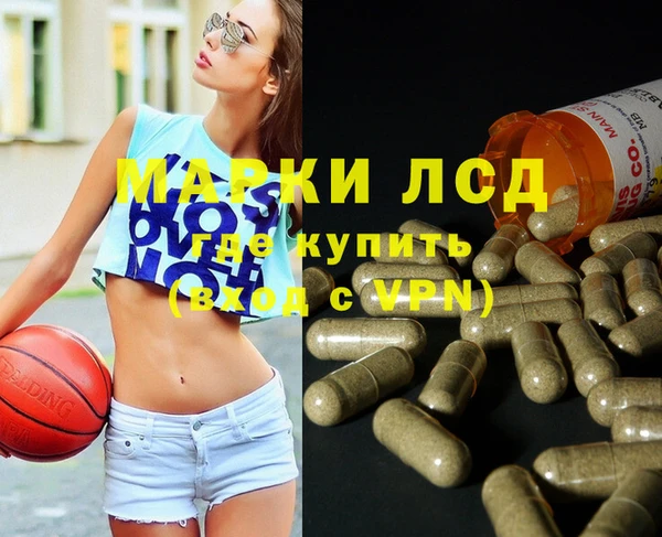 эйфоретик Баксан