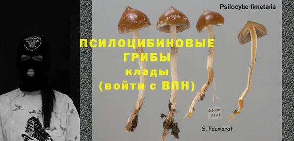 эйфоретик Баксан