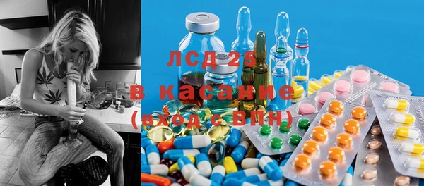 эйфоретик Баксан