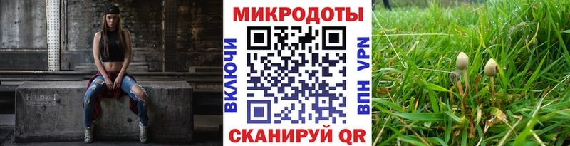 Псилоцибиновые грибы Psilocybe  Вельск 